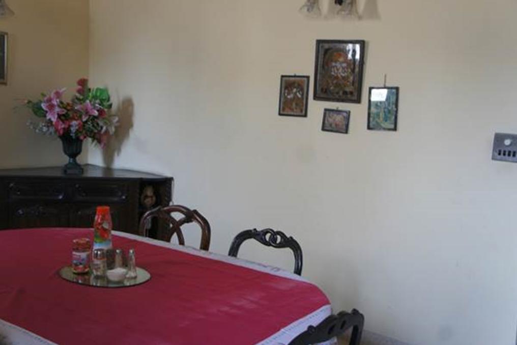 Sirohi House New Delhi Exteriör bild