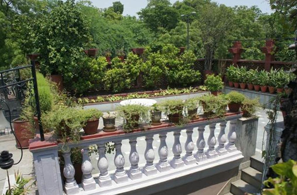 Sirohi House New Delhi Exteriör bild