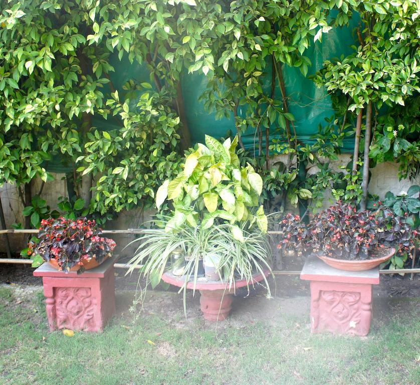 Sirohi House New Delhi Exteriör bild